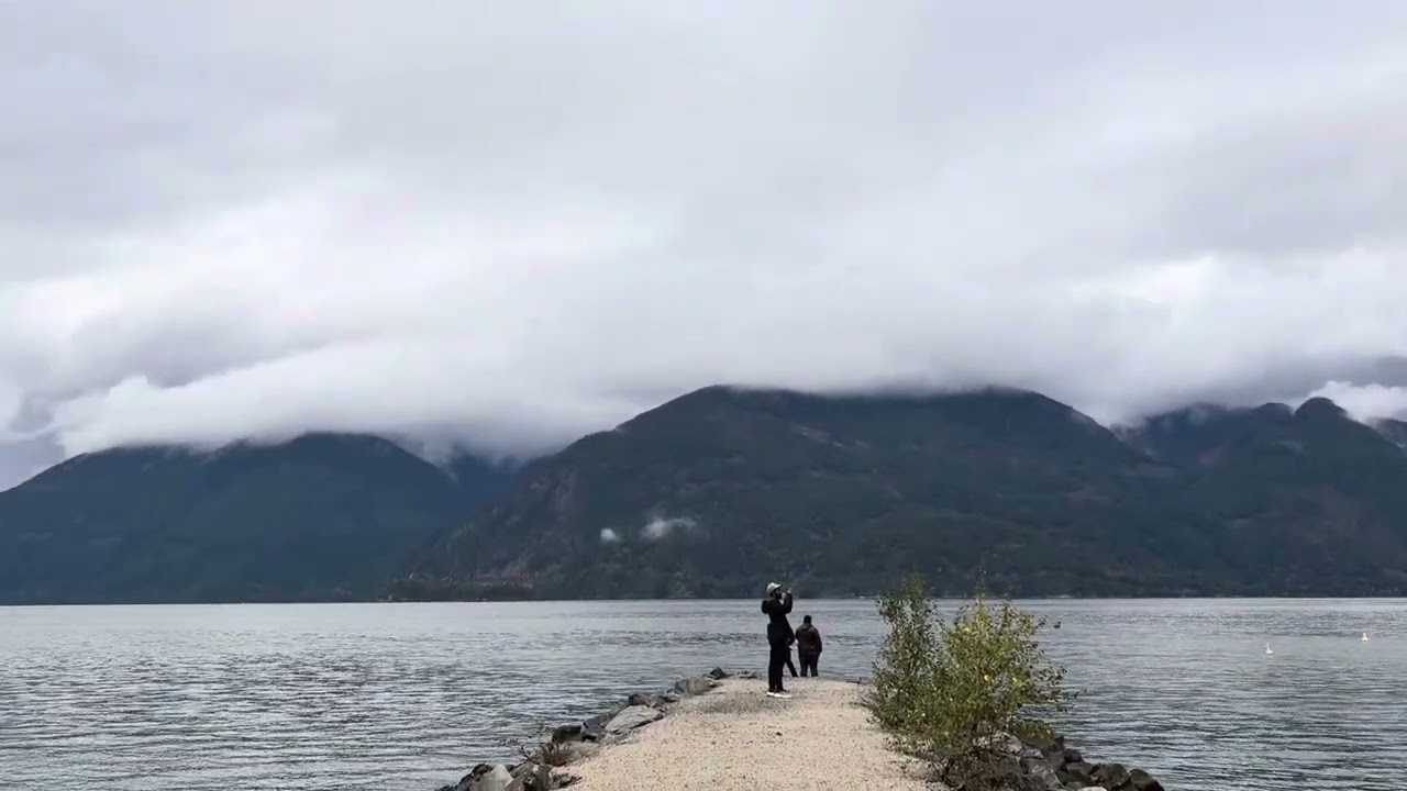 Vancouver #Viral #nature #love #canada #shorts