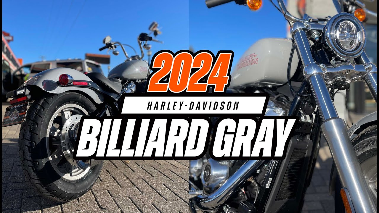 2024 Harley-Davidson Softail Standard in Billiard Gray