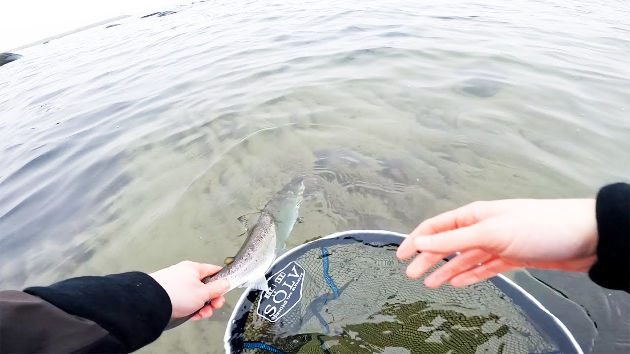 KUSTFISKE efter HAVSÖRING - Kort eftermiddagspass & Nytt bete