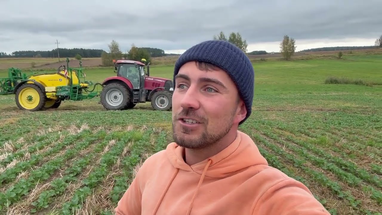 Rzepak ma trudny start! Robimy jednak co możemy 😎