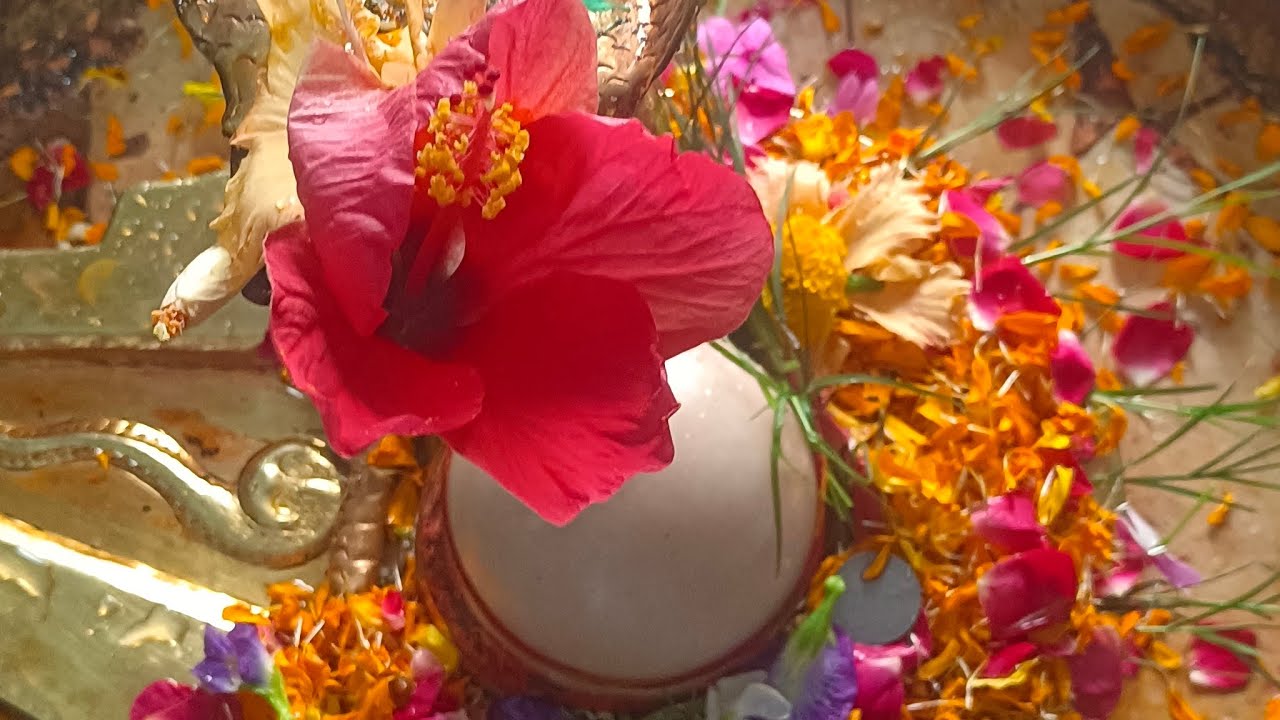 Sanatan Bhaakti Blog 456#Sanatan bhaakti Songs Sanatan bhaakti Video#Sanatan Viral bhakti Video