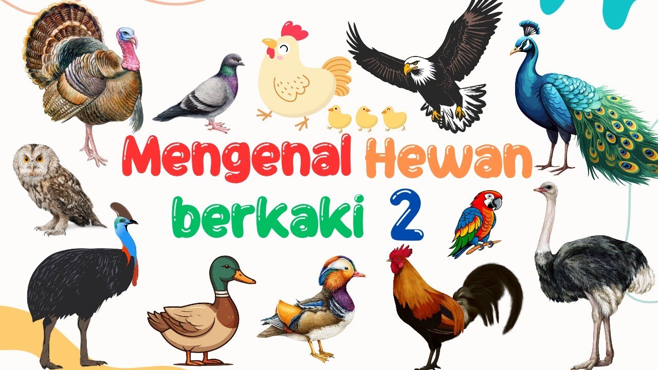 Belajar Mengenal Nama-Nama Hewan Berkaki Dua