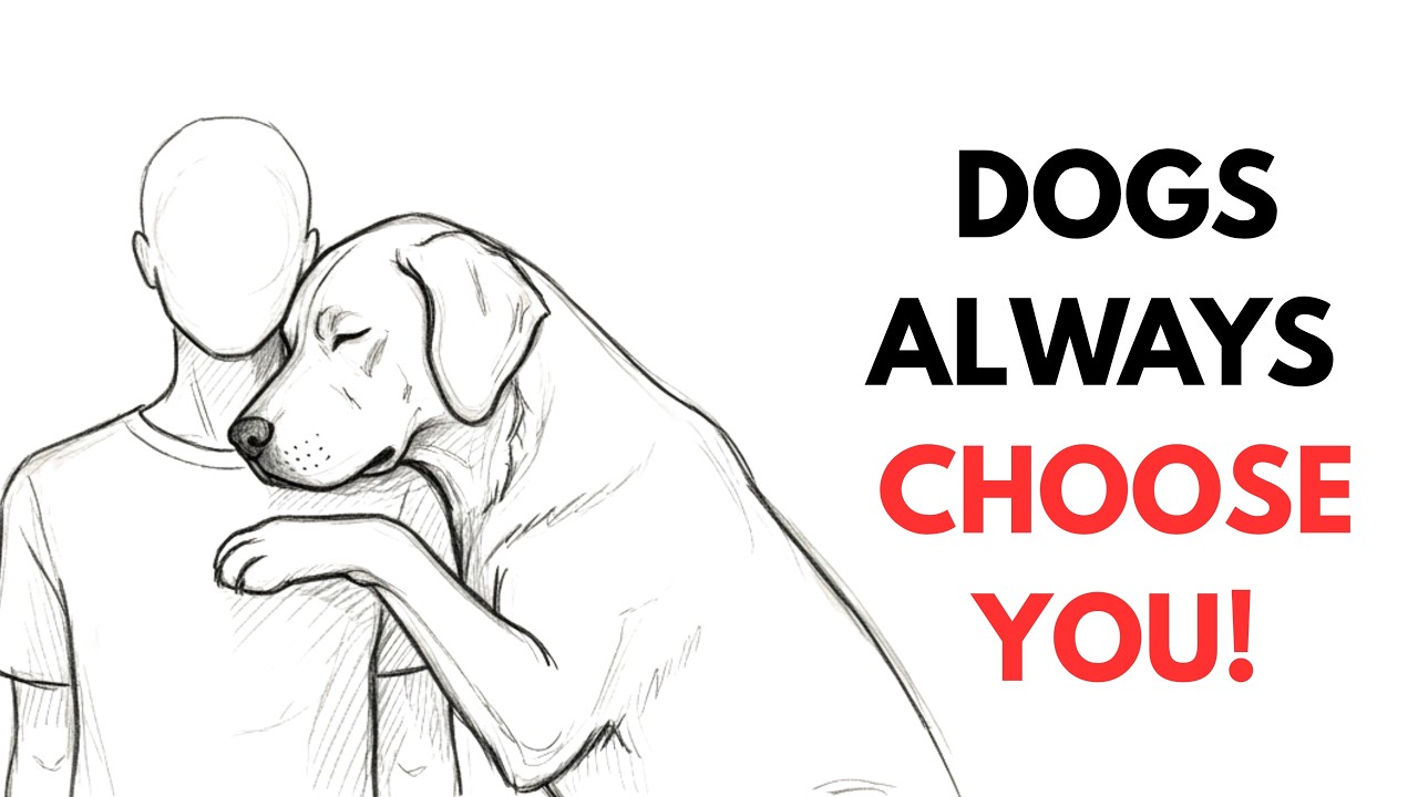 Why Dogs Instantly Trust Some People (Psychology Explains It)