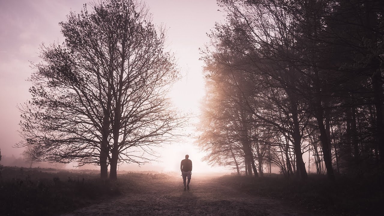 Lüneburger Heide im Nebel fotografieren!
