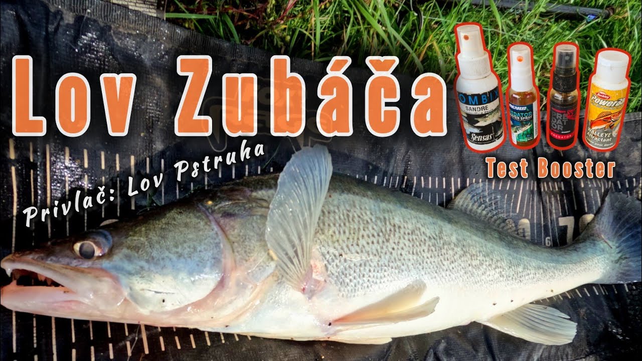 Lov Zubáča/Candáta na rybku/ Lov Pstruha na Prívlač/#fishing #raubfisch #zanderfishing