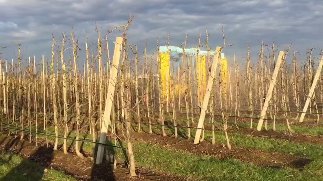 Fruitteelt