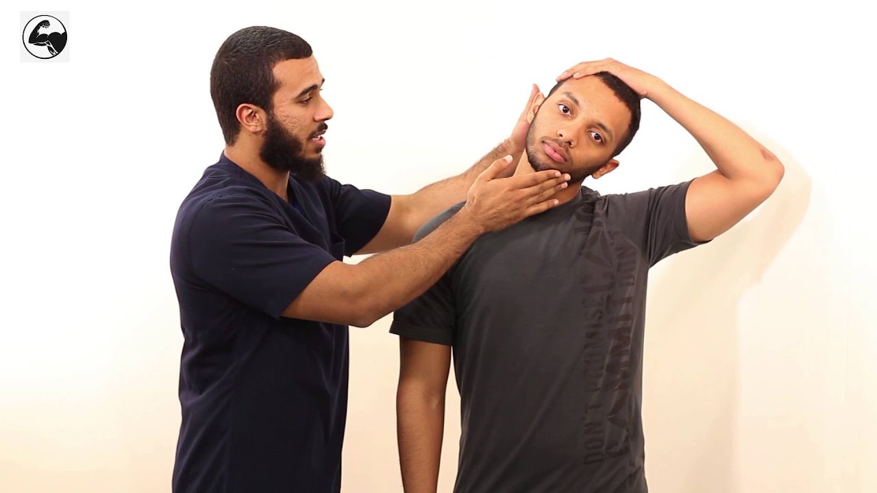 بايسبس شو: تمارين تقوس أعلى الظهر 117 The Biceps Show: U.C.S. Streches