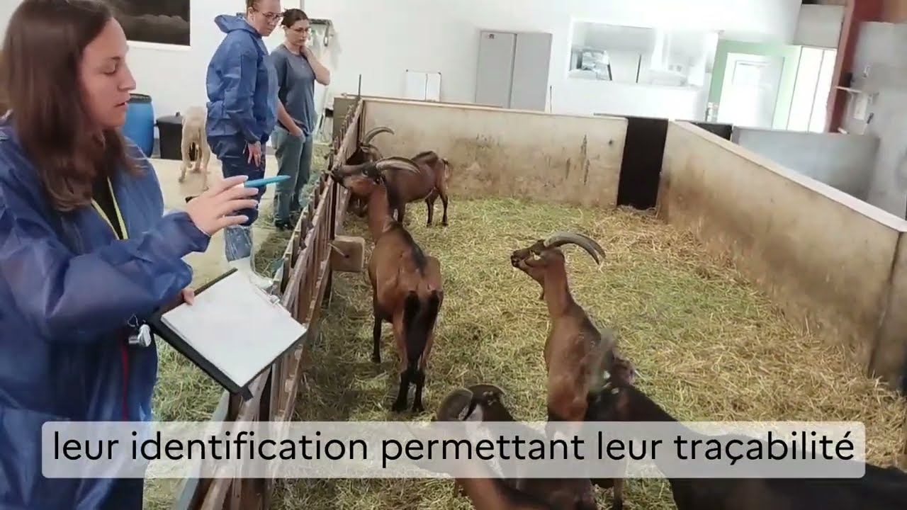 Contrôle de la santé et protection animale (DDPP83)