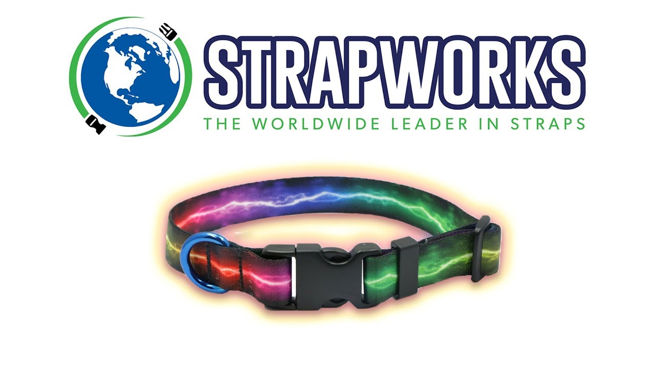 Easy DIY Dog Collars - Customizable