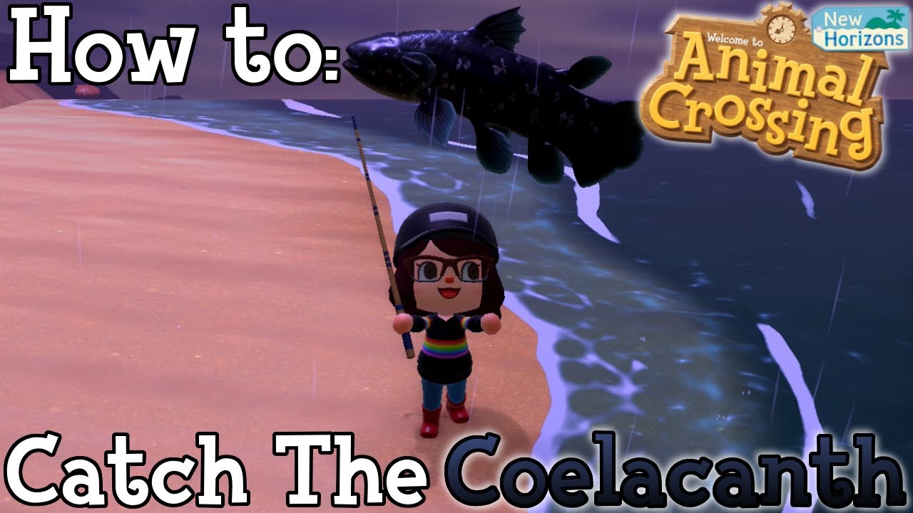How to: Catch the Coelacanth in Animal Crossing New Horizons