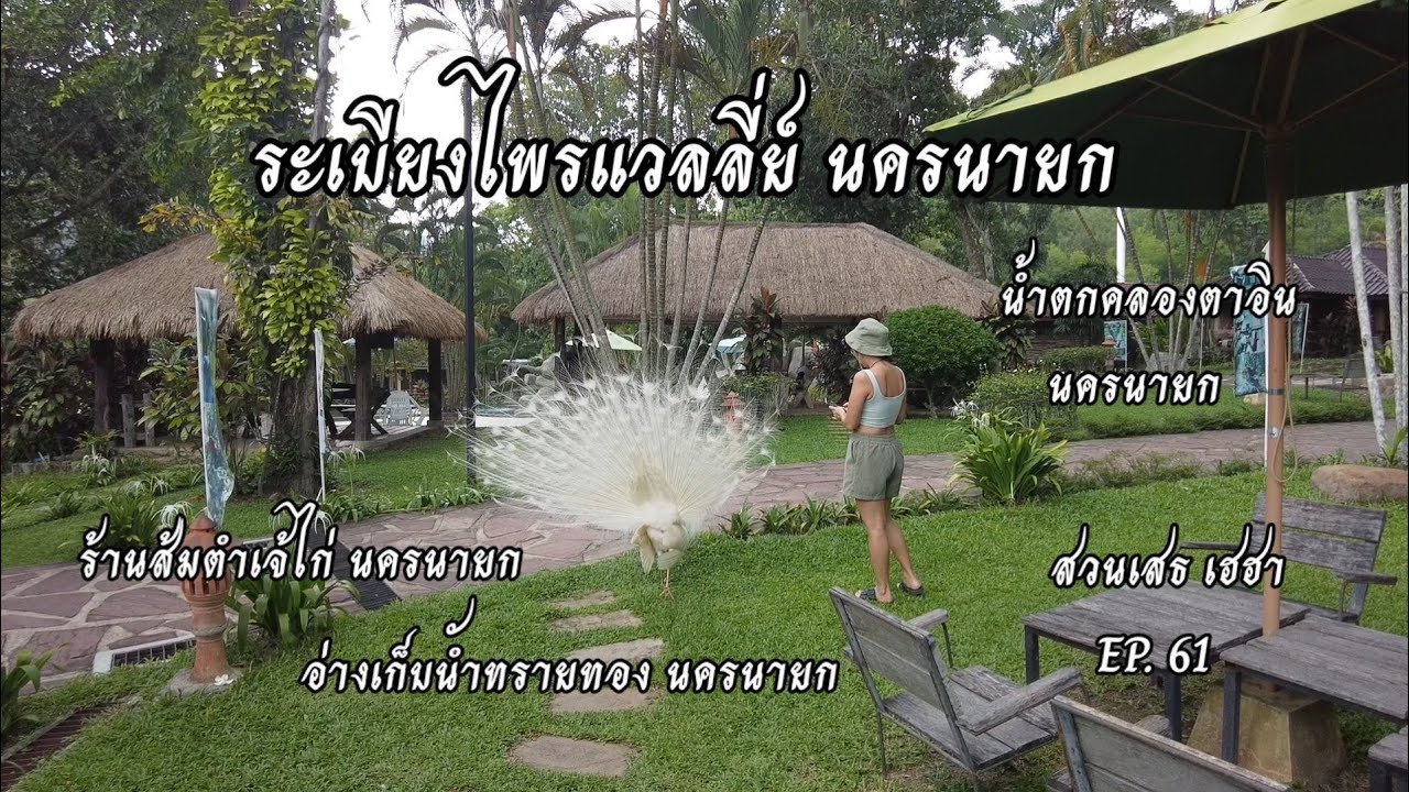 ระเบียงไพร แวลลี่ย์ นครนายก EP.61