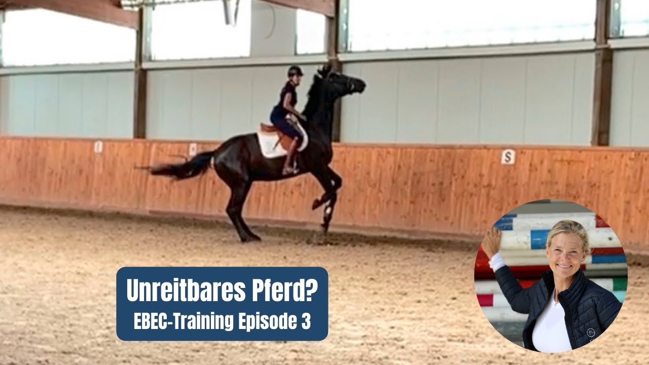 Vom Problempferd zum Sportpferd 3/4 | Pferd verweigert Sprung unterm Reiter:Was tun? | EBEC-Training