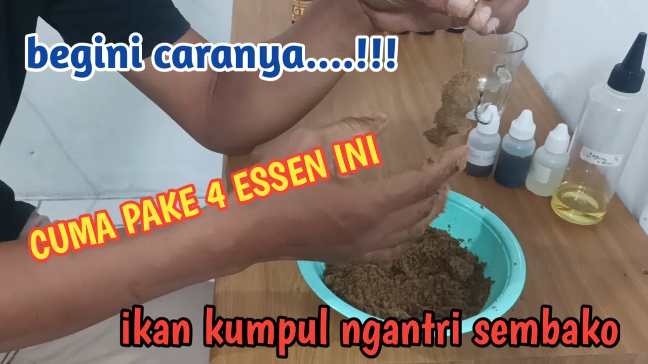Essen pengumpul ikan paling dahsyat
