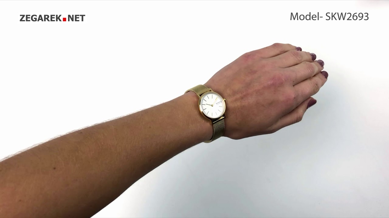 Skagen Signatur SKW2693 SIGNATUR - Zegarek.net