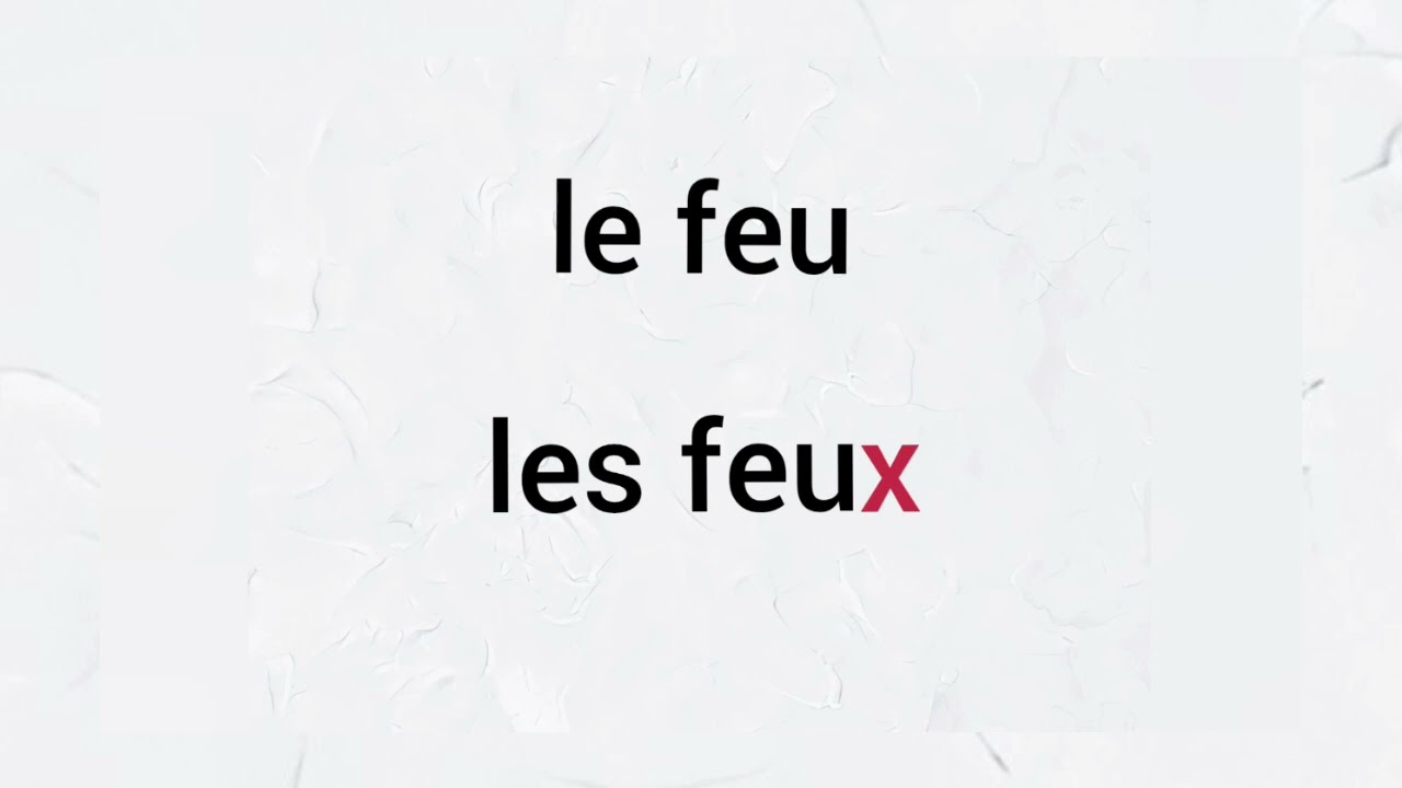Le pluriel des noms grand cour @françaisfacilefacile#learnfrench #frances#french#thefrenglishtouch 