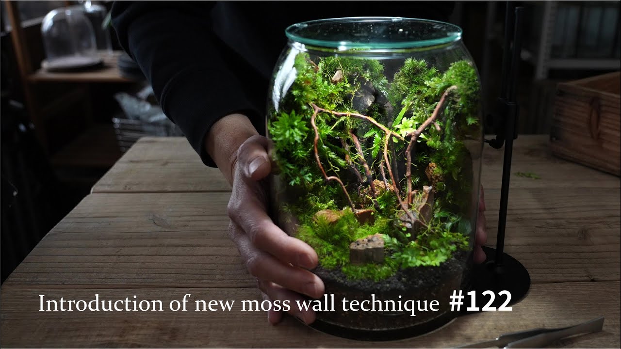 【ケト土を使った苔壁面の作り方】16cmのガラス容器にジャングルを作る#122