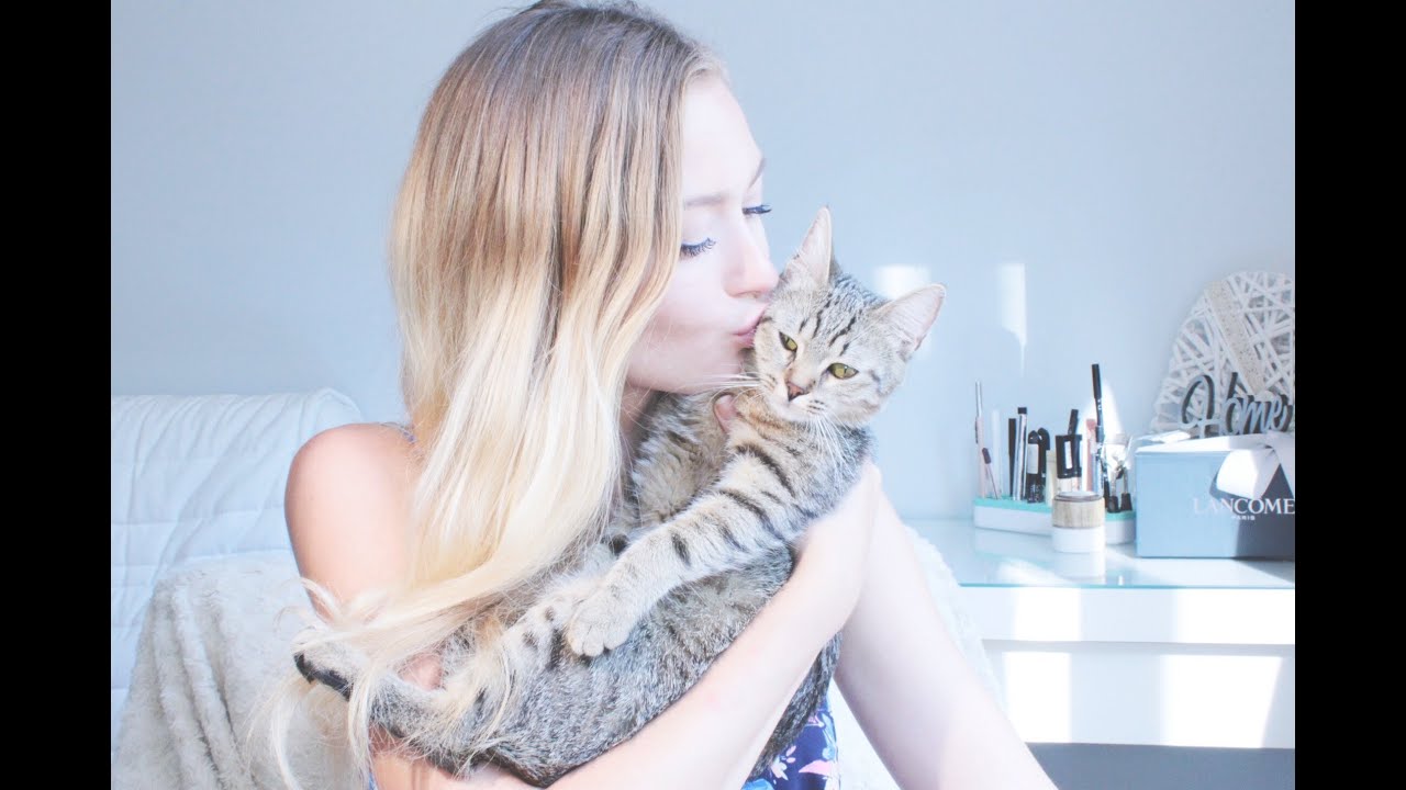 Мой питомец ♥  Корм, игрушки, полезные гаджеты и сервисы для кошки