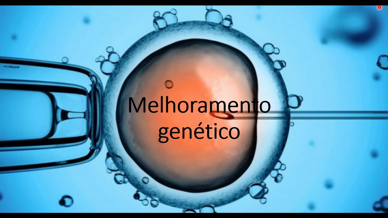 Melhoramento genético - Genética e biotecnologia