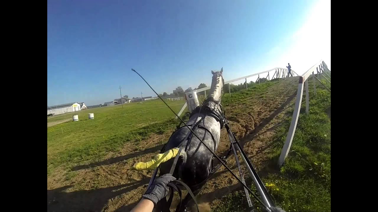 Драйвинг 2014. Carriage driving marathon. Carriage driving