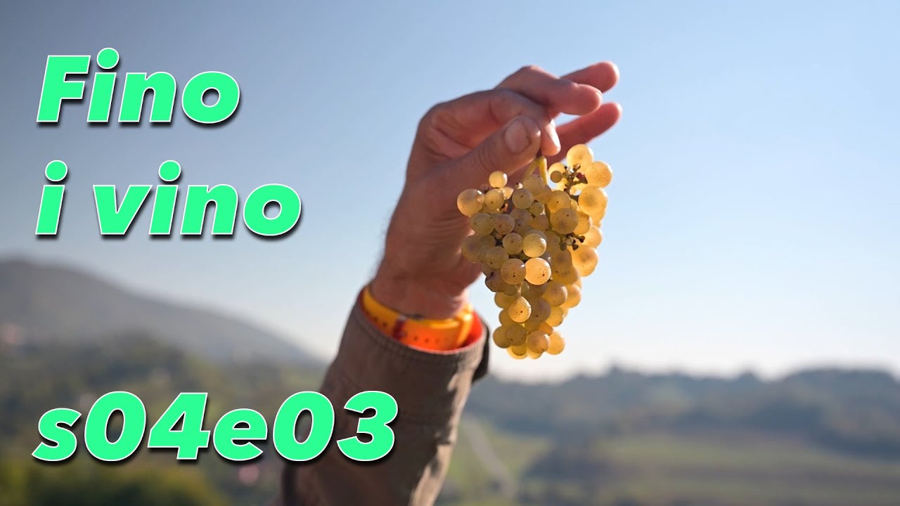 Fino i vino, 03.10.2024. s04e03