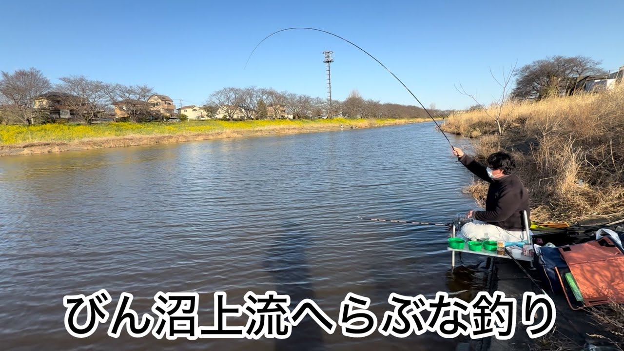 びん沼へらぶな釣り！三本木&焼肉対岸！機上が回った次の日の底釣り