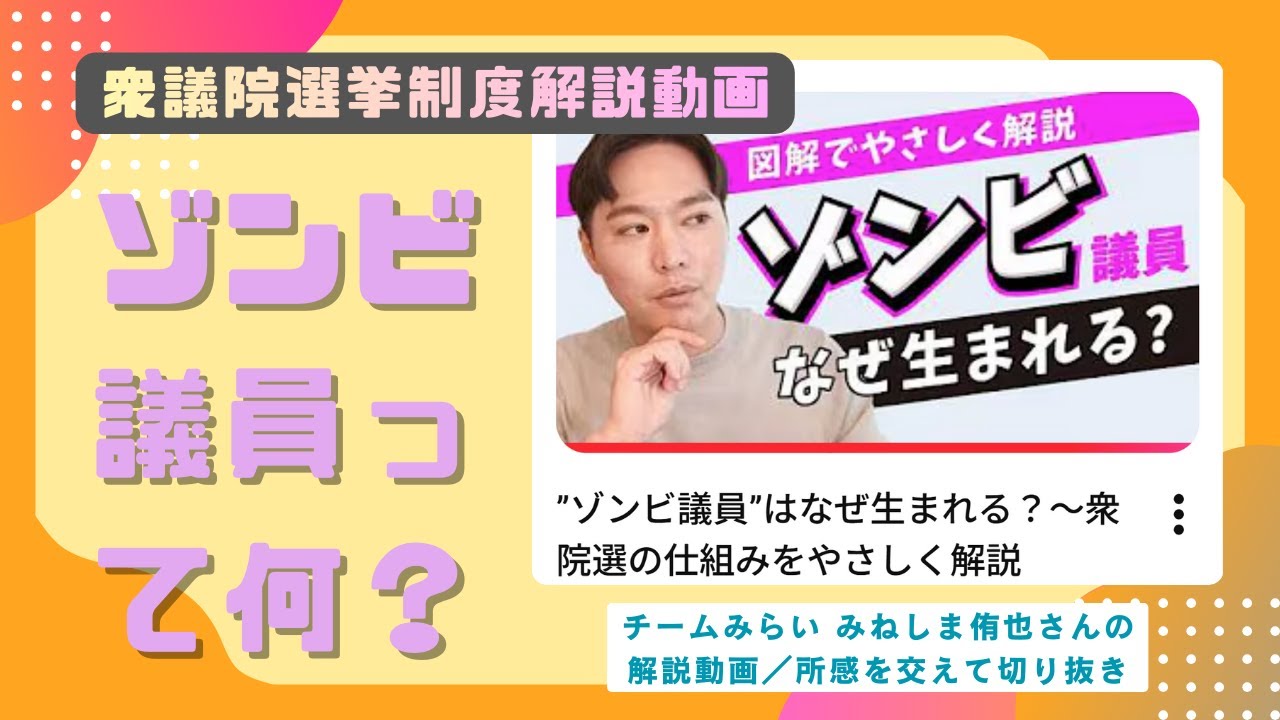 比例復活は本当に問題か｜衆議院選挙制度を考える【解説動画切り抜き】
