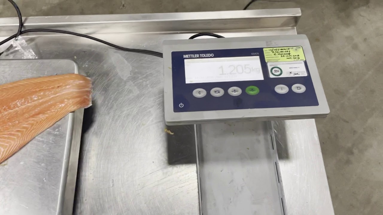 Marel I-Cut 11 Portion Cutter from 2016