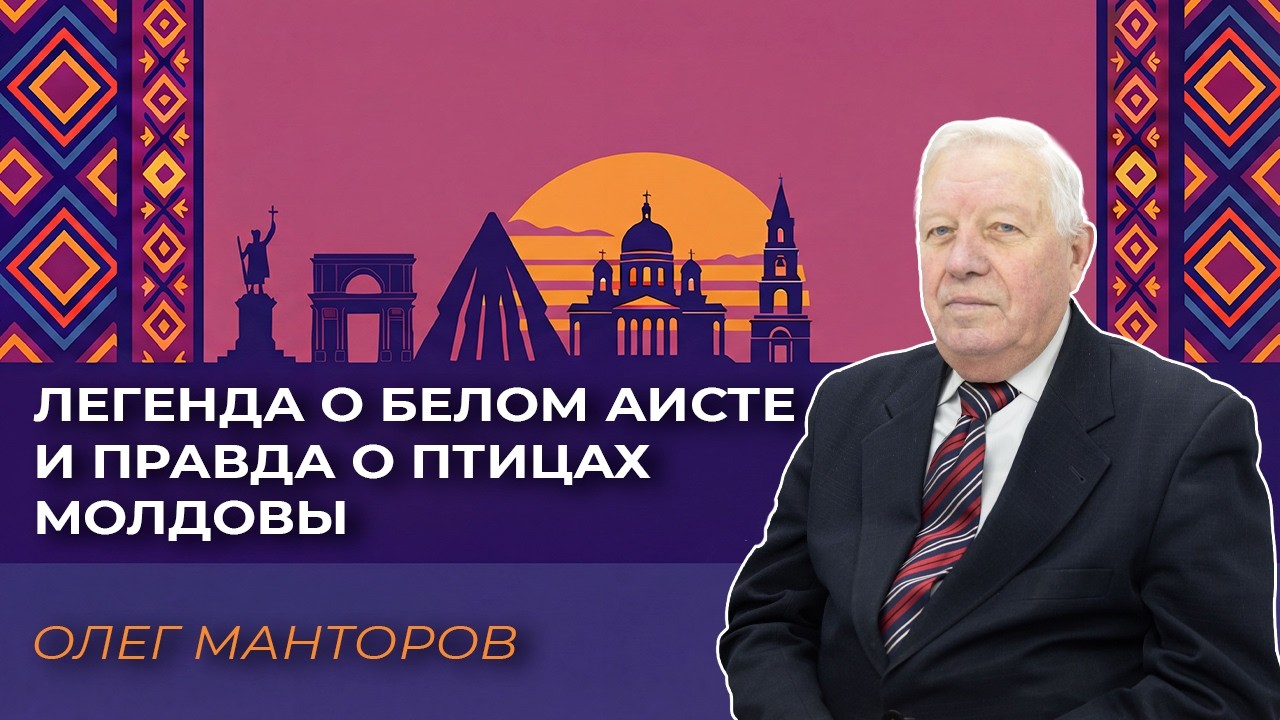 Манторов: Легенда о белом аисте и правда о птицах Молдовы