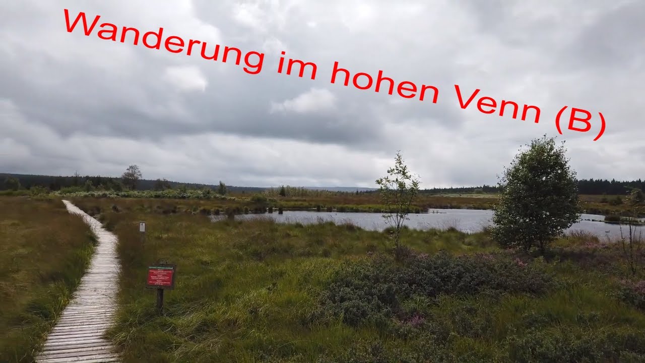 Kleine Wanderung: Hohes Venn (Belgien)