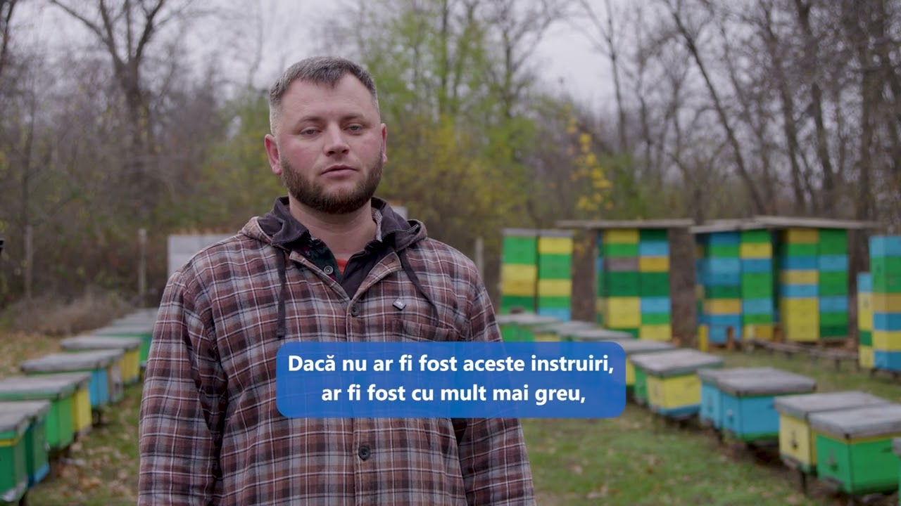 Afacere apicolă crescută cu sprijinul EU4Youth – Povestea lui Alexandru Socolov