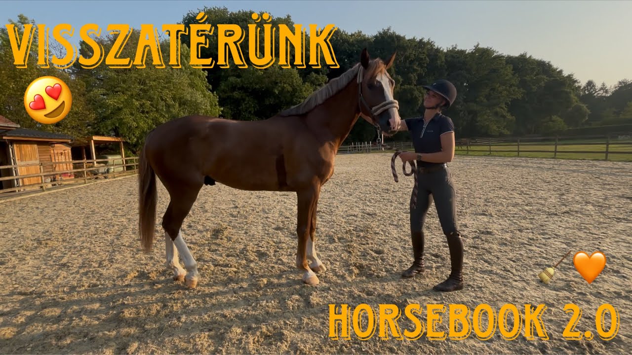 Visszatér a HORSEBOOK 😱