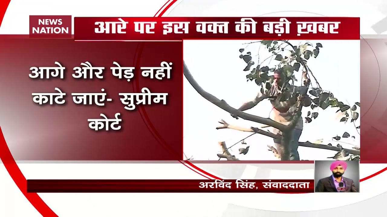 Aarey Colony, Supreme Court, tree cutting, Maharashtra, Green Bench