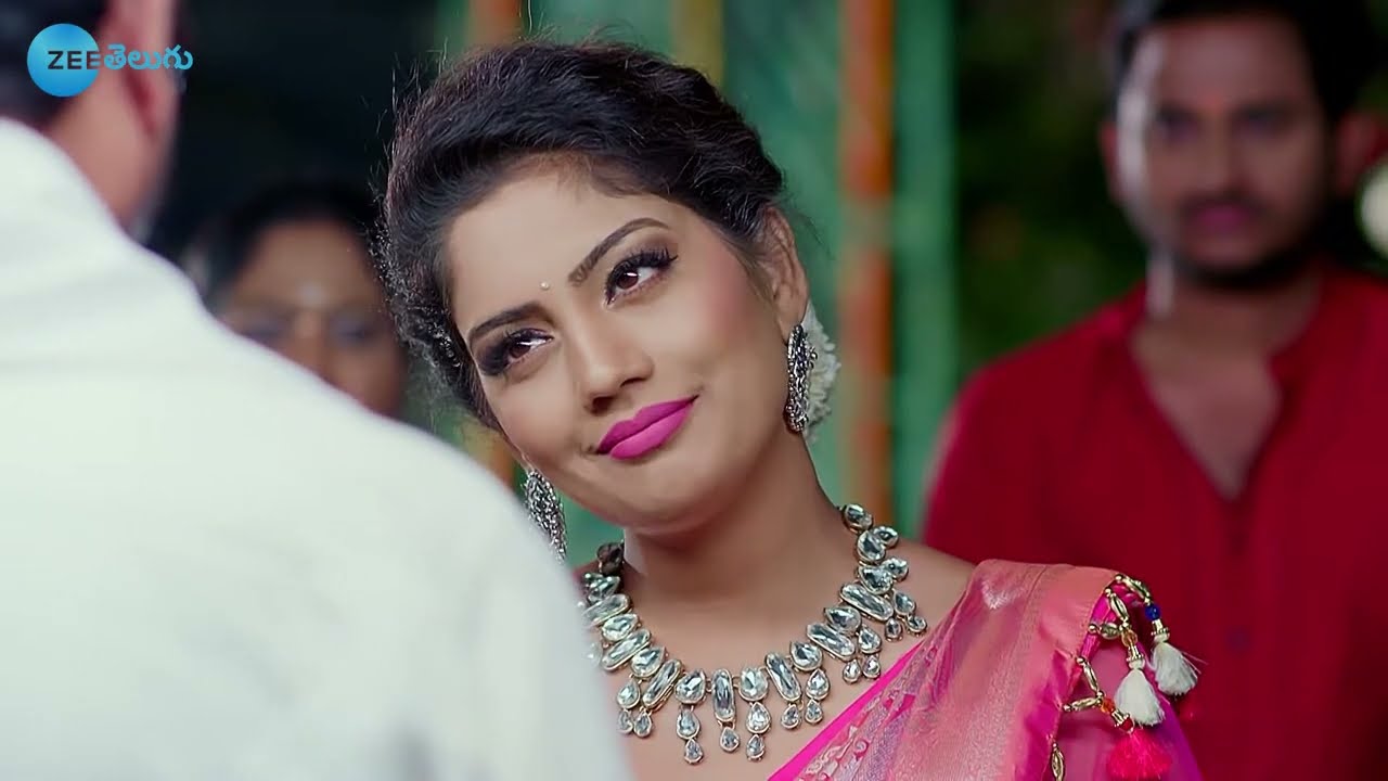 Vaidehi Parinayam - వైదేహి పరిణయం - Telugu Serial - EP - 206 - Karuna Bhushan - Zee Telugu