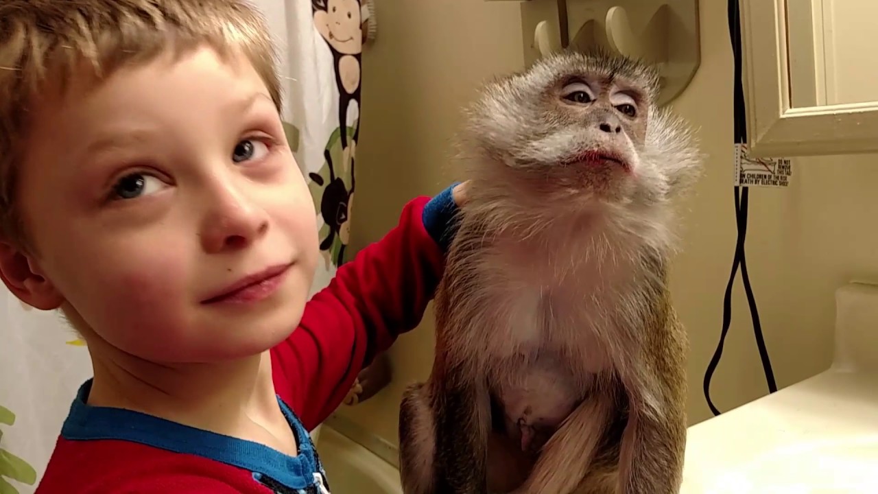 A Boy And His Spoiled Monkey Angel Bullock
