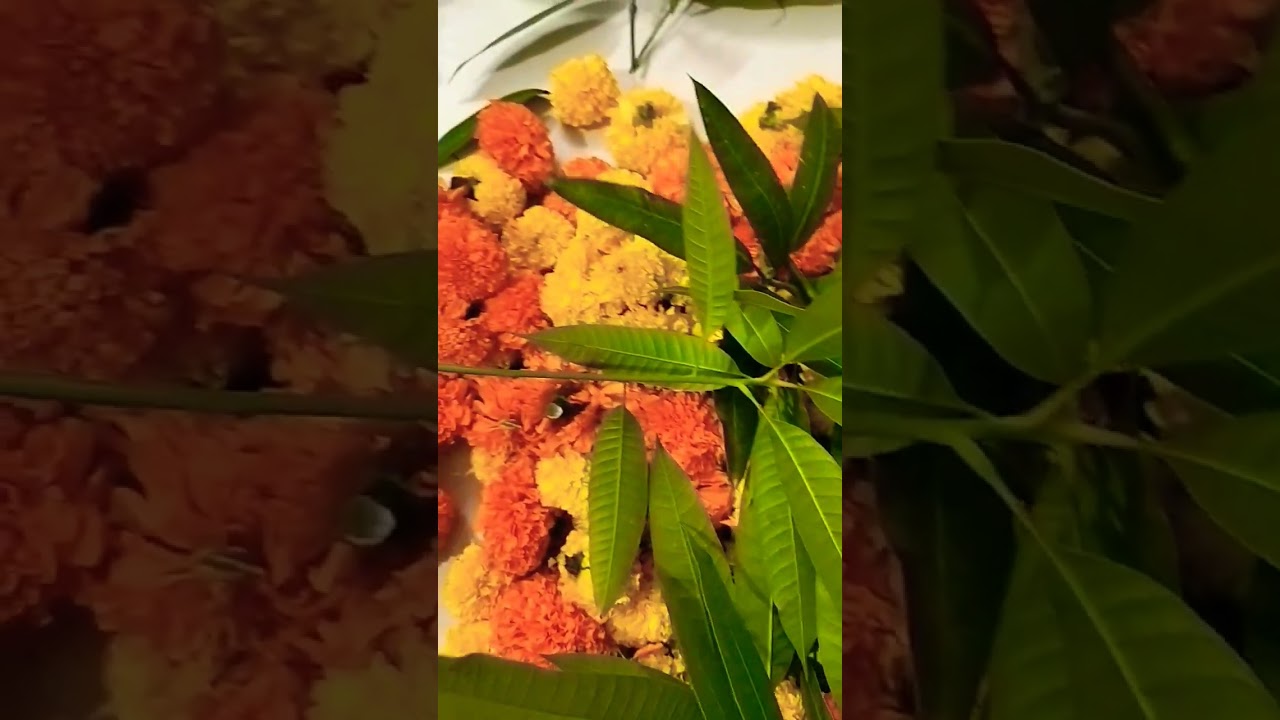 #ugadi#celebration #decoration#festival#latenight #vibes