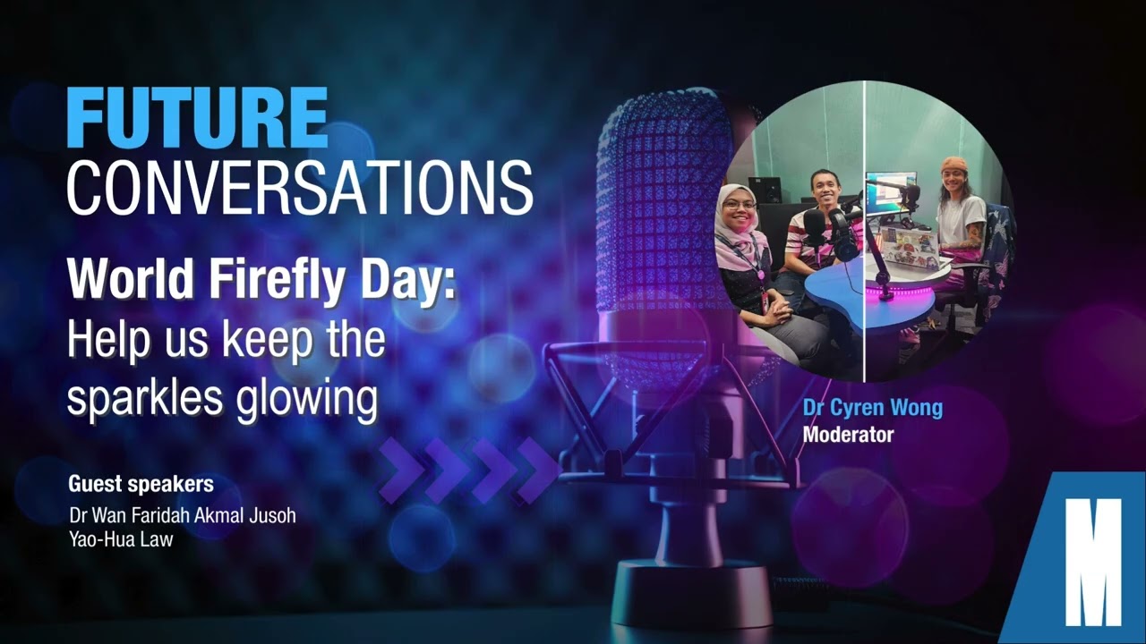 Future Conversations | World Firefly Day: Help us keep the sparkles glowing