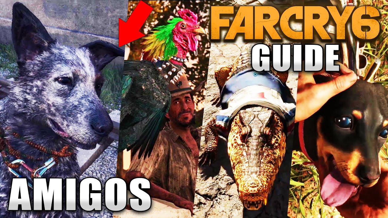 FAR CRY 6 - Tous les AMIGOS et comment les débloquer (Amis Fidèles) GUIDE