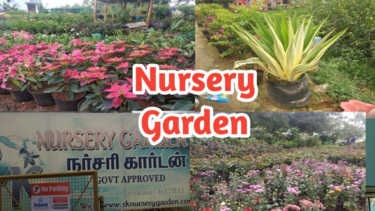 Best nursery garden in tenkasi || Tamil || AR Tamil Ulagam