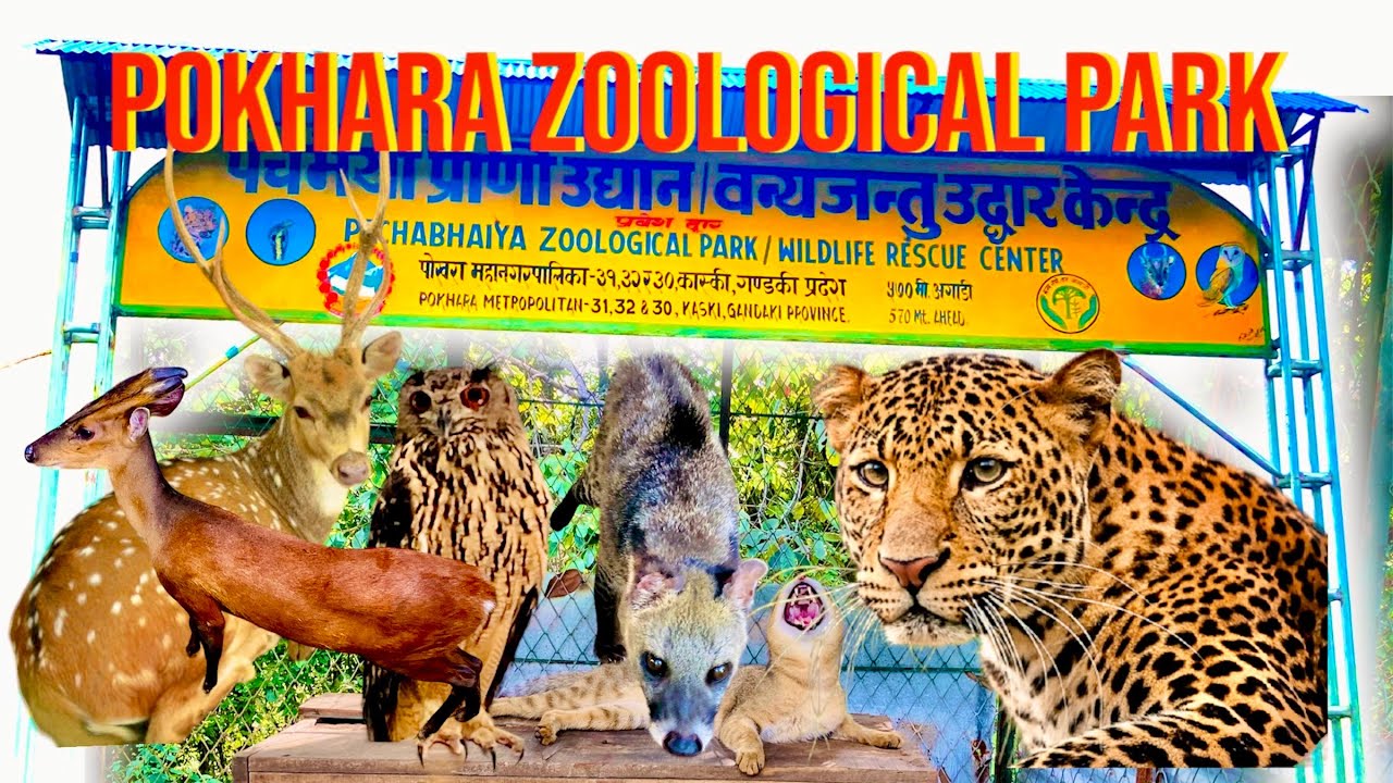 Pokhara Zoological Park || Wildlife Rescue Center