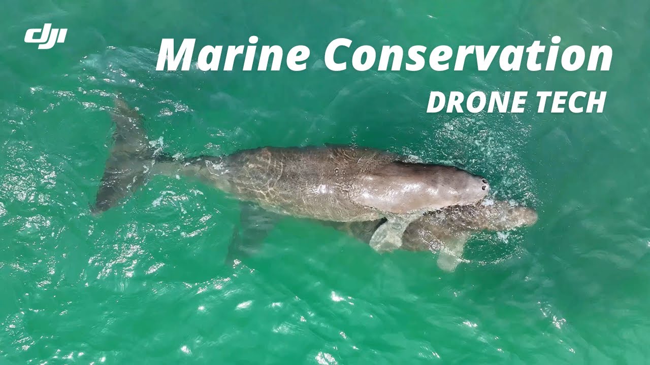Protecting Thailand&rsquo;s Dugongs with DJI Dock 3 | Drones For Marine Conservation