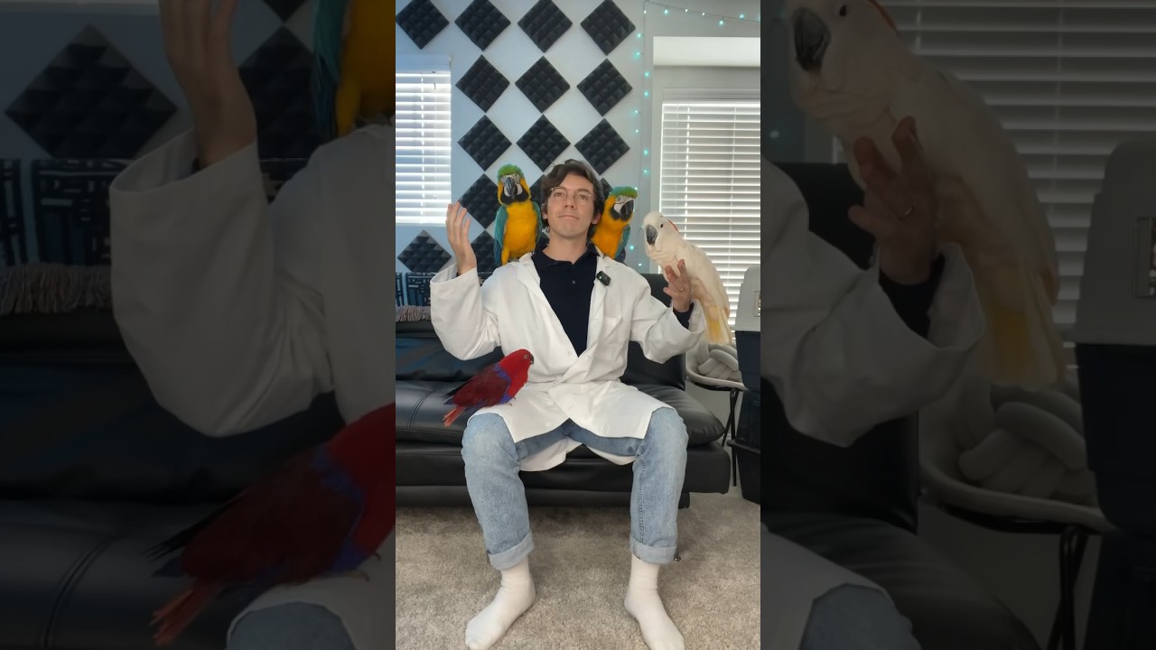 This guy brought his parrots to the studio 🤦&zwj;♂️ &lsquo;Million Cash&rsquo; out now