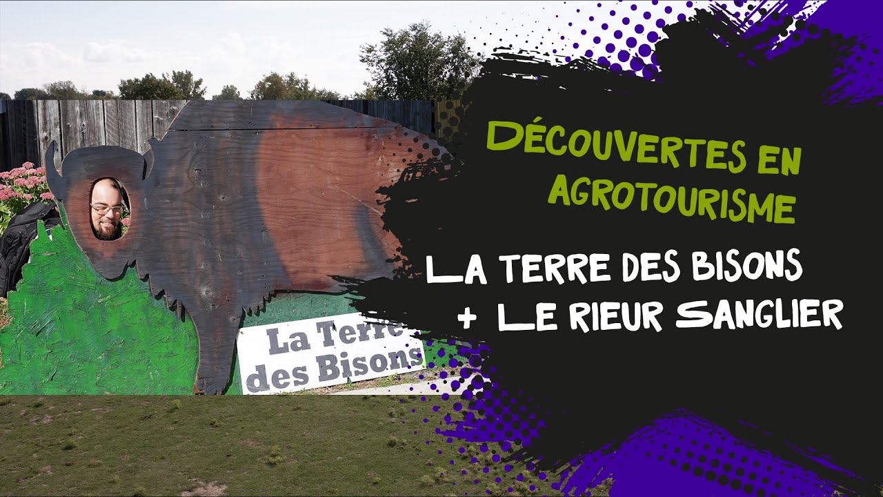 Découvertes en agrotourisme - La Terre des Bisons + Le Rieur Sanglier
