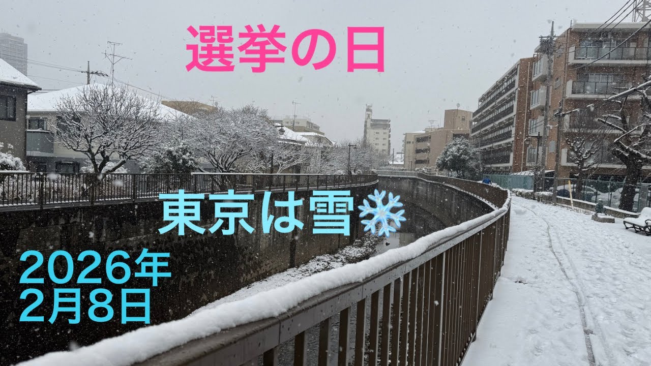 東京は雪　#選挙の日