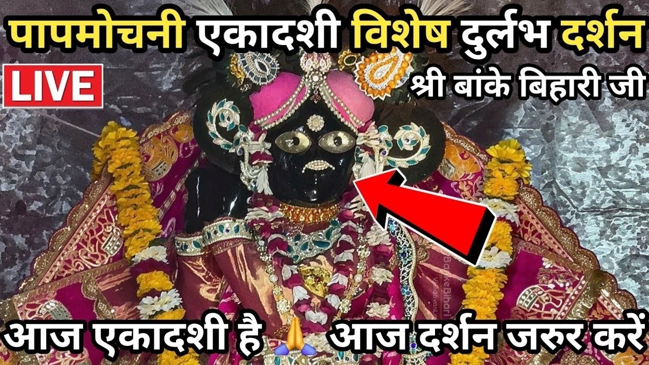 आज पापमोचनी एकादशी 🙏 श्री बांके बिहारी जी के दुर्लभ LIVE दर्शन | Vrindavan Darshan#live#darshan