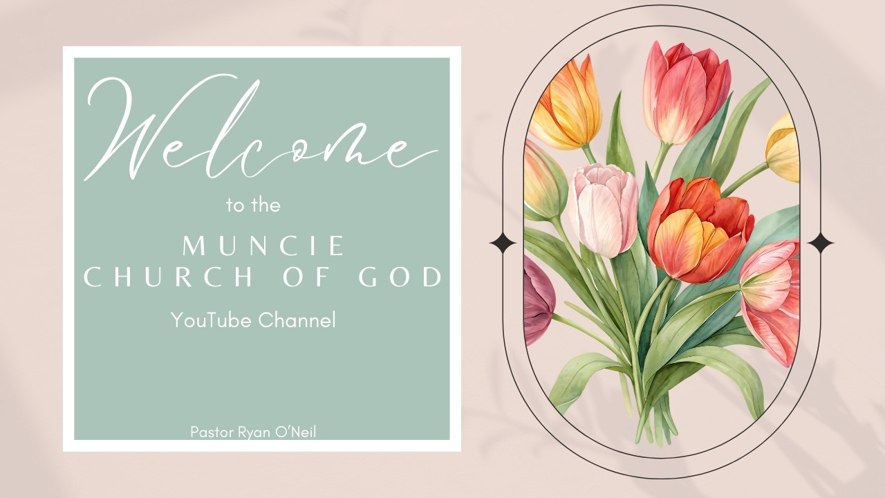 March 1st Live Stream