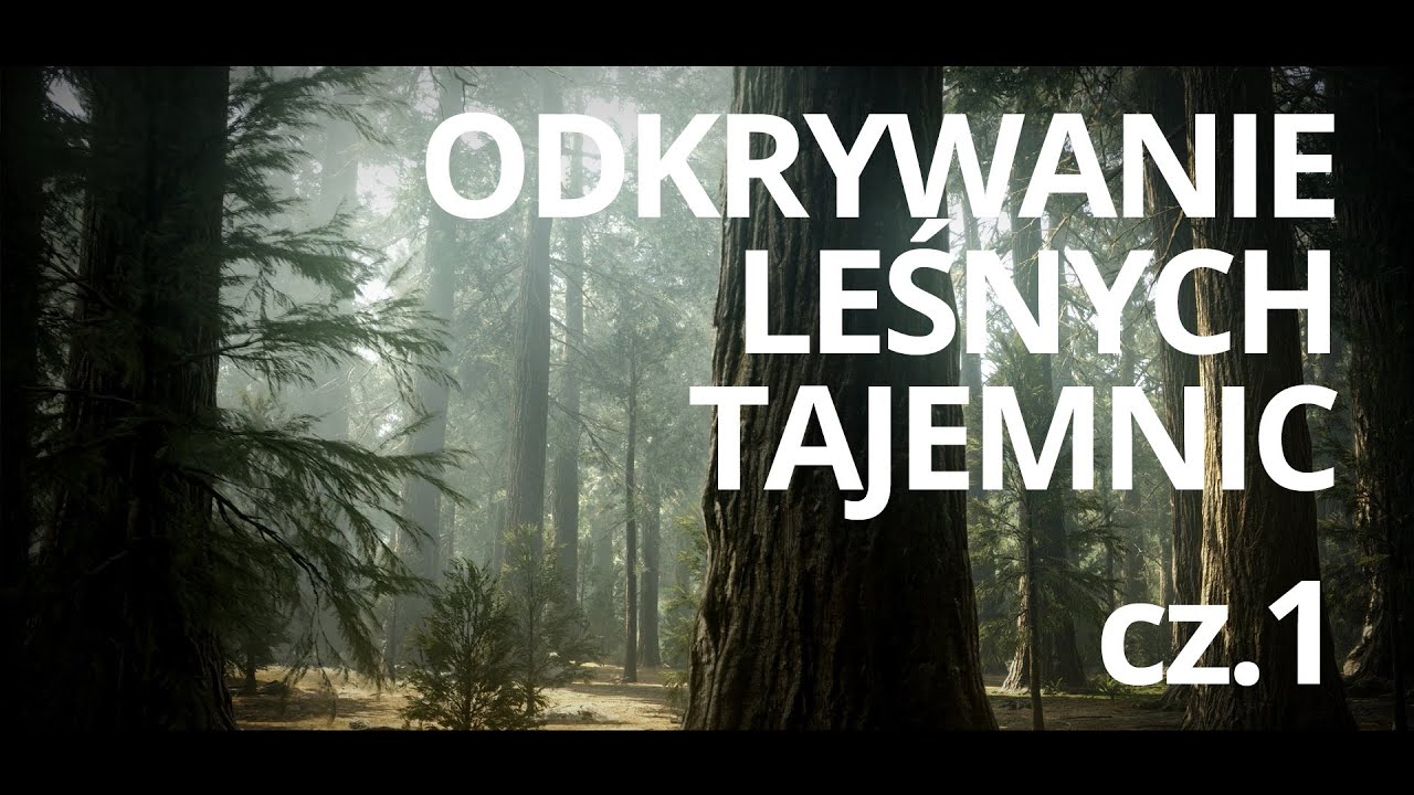 Człowiek i drzewo &mdash; odc. 1 &mdash; czyta: K. Czub&oacute;wna