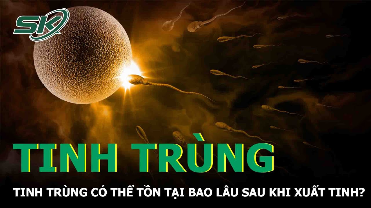 Tinh Trùng Có Thể Tồn Taị Bao Lâu Sau Khi Xuất Tinh | SKĐS