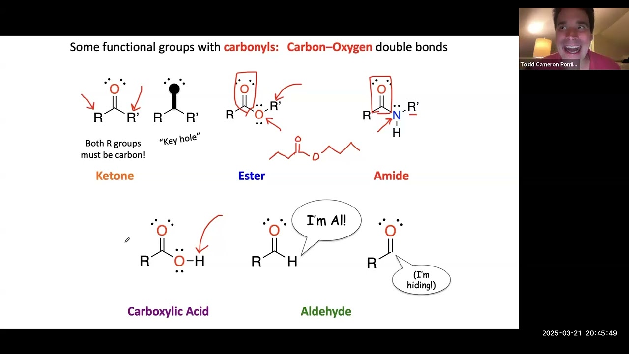 Functional Groups and Intermolecular Forces!