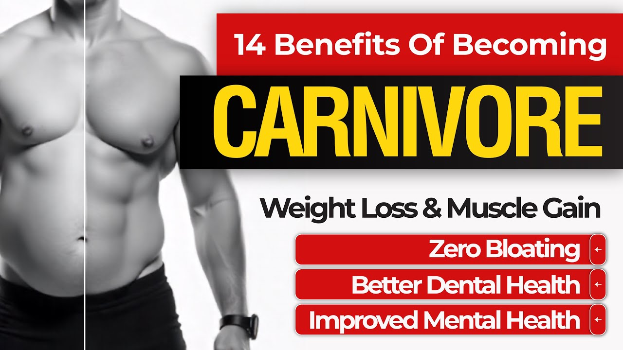How Carnivore Heals Your Body & Mind | Doctor&rsquo;s Perspective