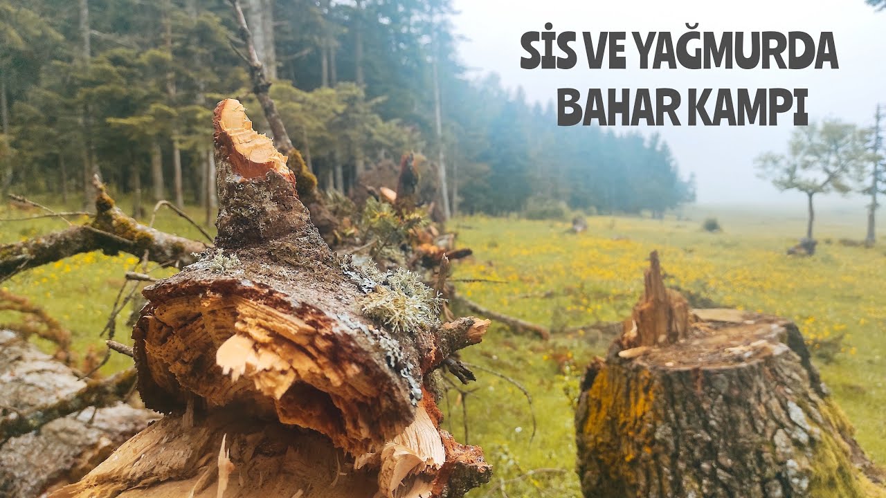 SİSLER İÇİNDE BAHAR KAMPI | YAĞMUR, YEMEK, ÇAY|